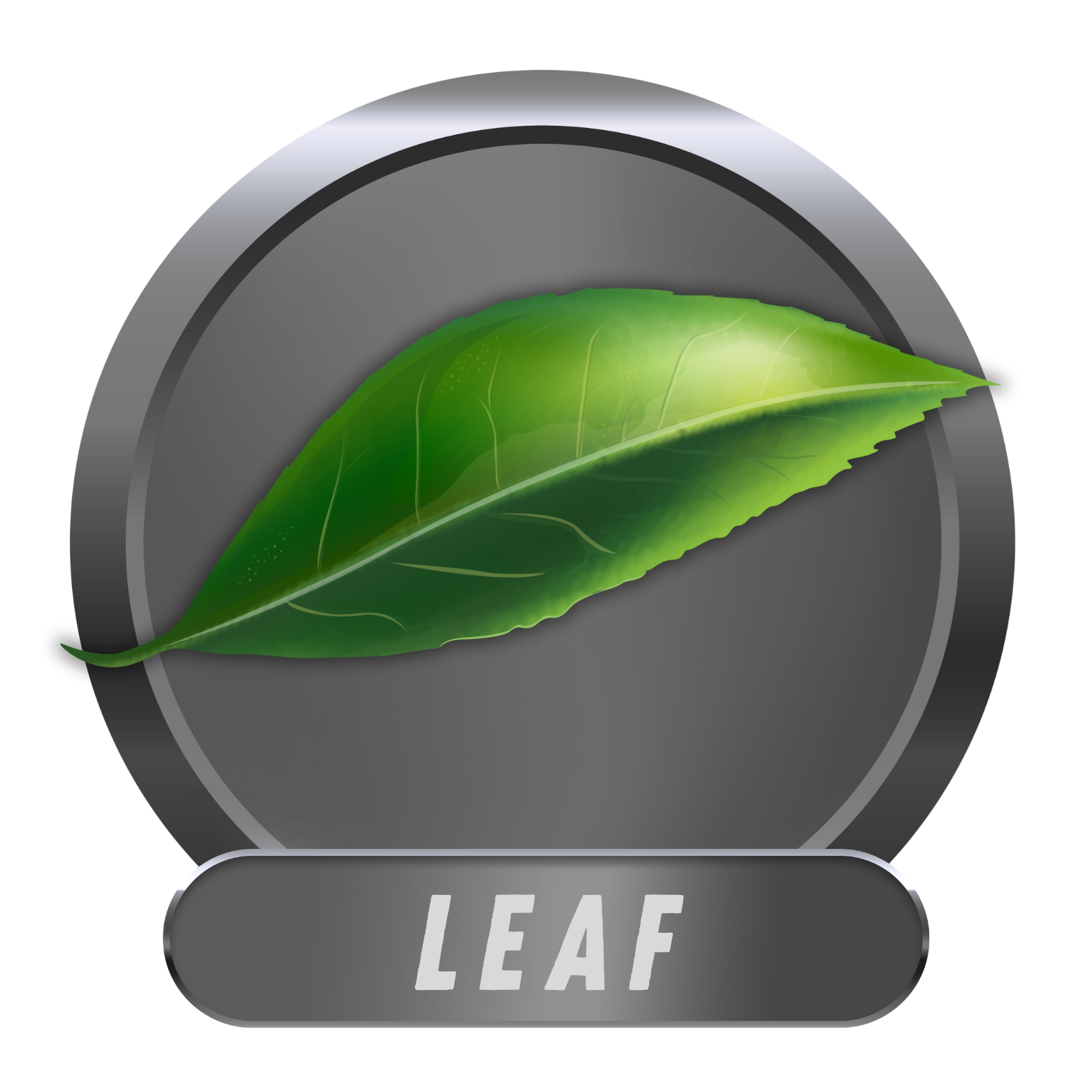 Badge 5