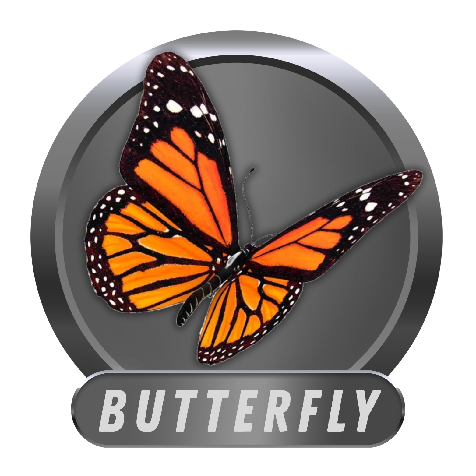 Badge 7