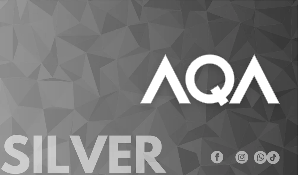 Silver (3 mois)