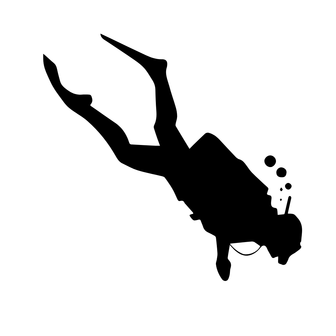 Plongée Sous-marine