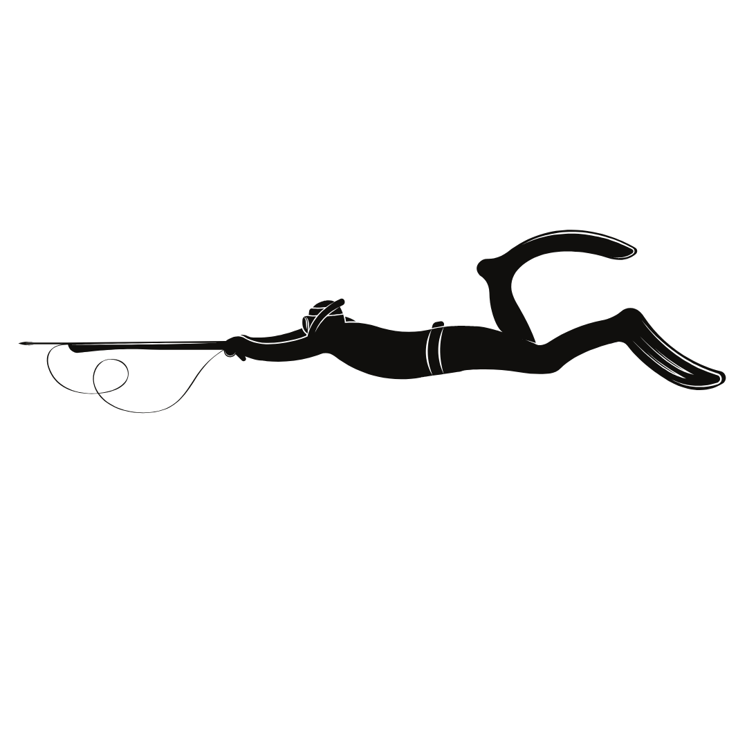 Chasse Sous-marine